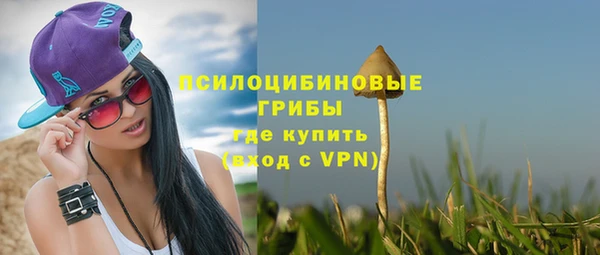 тгк Абинск