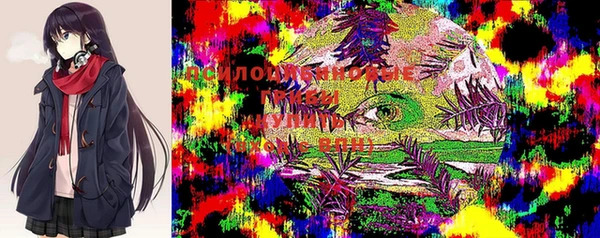 бошки Алексеевка