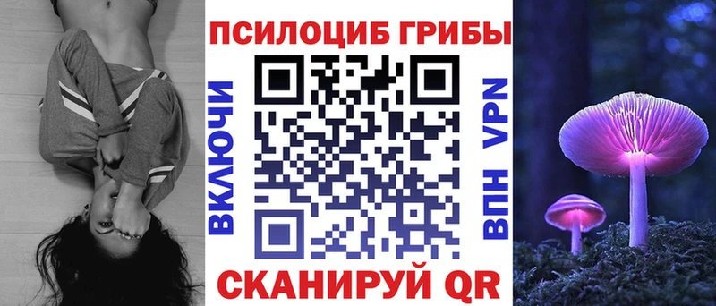 Псилоцибиновые грибы Psilocybe  как найти закладки  Новоульяновск 